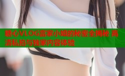 糖心VLOG富家小姐的秘密全揭秘 高清私拍与独家内容体验