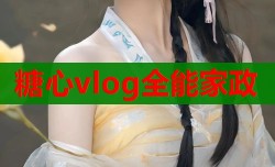 糖心vlog全能家政