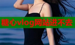 糖心vlog网站进不去