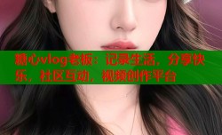 糖心vlog老板：记录生活，分享快乐，社区互动，视频创作平台