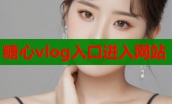 糖心vlog入口进入网站