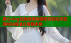 糖心vlog线路检测神器助你轻松排查网络问题提升视频体验