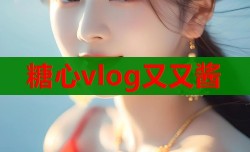 糖心vlog又又酱