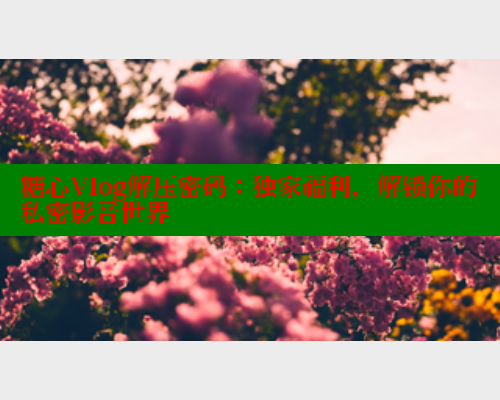 糖心Vlog解压密码：独家福利，解锁你的私密影音世界 糖心vlog 第1张
