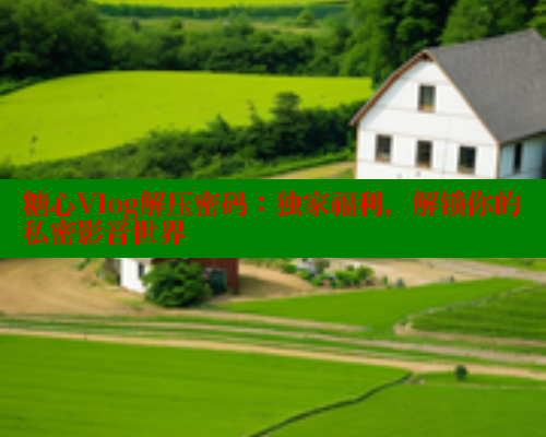 糖心Vlog解压密码：独家福利，解锁你的私密影音世界 糖心vlog 第2张