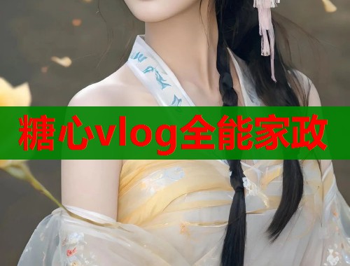 糖心vlog全能家政  第1张