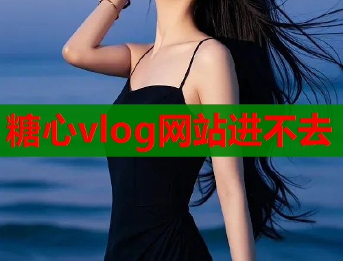糖心vlog网站进不去  第1张