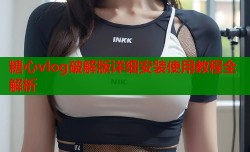 糖心vlog破解版详细安装使用教程全解析