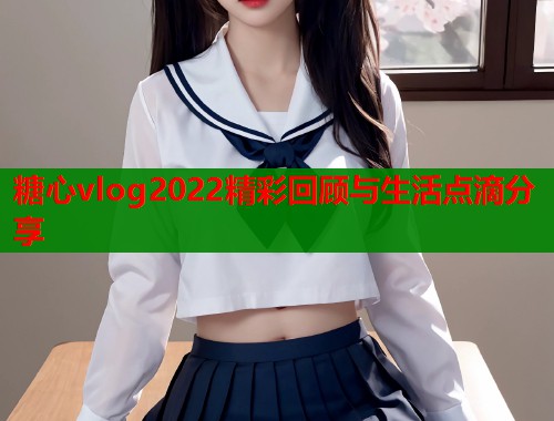 糖心vlog2022精彩回顾与生活点滴分享  第2张